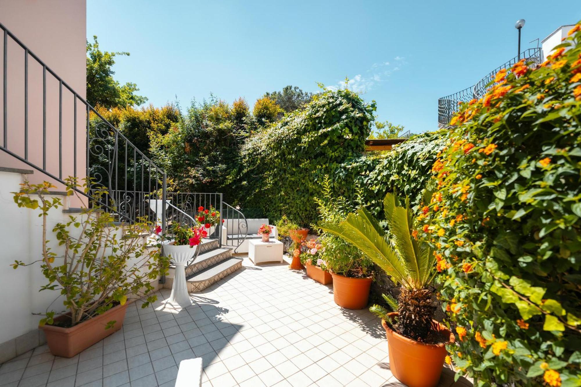 La Vispa Teresa Ischia Exterior photo